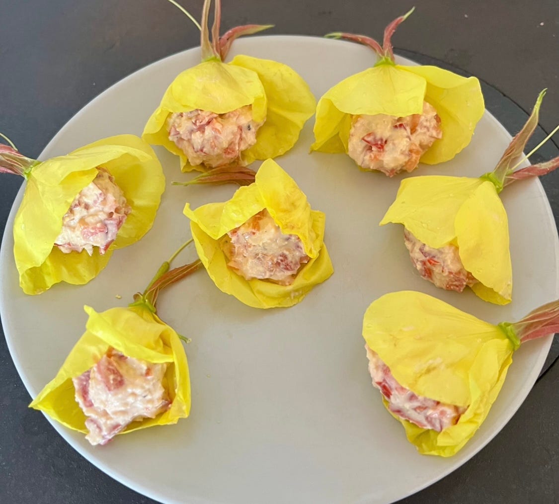 Käsebällchen im Nachtkerzenmantel