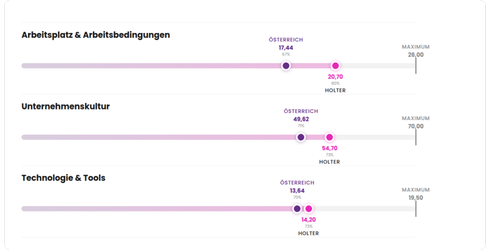Employee Experience Benchmark Fritz Holter GmbH 2025 vs. österreichischer Marktdurchschnitt: Arbeitsplatz & Arbeitsbedingungen Holter 20,70 (Österreich 17,44), Unternehmenskultur Holter 54,70 (Österreich 49,62), Technologie & Tools Holter 14,20 (Österreich 13,64). Bester Einzelwert 2025: "Sie fühlen einen Sinn in Ihrer Tätigkeit" – 6,10 von 7 Punkten. Zum Vergleich: Auf anderen Plattformen haben im Schnitt nur 19 Mitarbeitende pro Jahr bewertet – das sind 2,12 % aller Mitarbeitenden. Fritz Holter GmbH, Employee Experience Champion, Handel/Großhandel, Wels, Österreich.