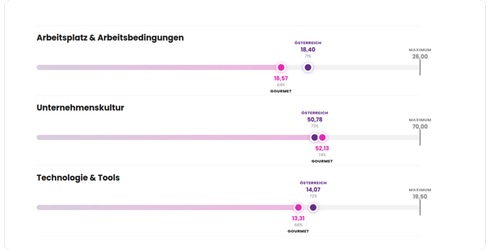 Employee Experience Benchmark GMS Gourmet GmbH 2024 vs. österreichischer Marktdurchschnitt: Arbeitsplatz & Arbeitsbedingungen Gourmet 16,57 (Österreich 18,40), Unternehmenskultur Gourmet 52,13 (Österreich 50,78), Technologie & Tools Gourmet 13,31 (Österreich 14,07). Erhebung September 2024, 264 Teilnehmende, Großunternehmen, Branche Gastro/Industrie, Wien/St. Pölten, Österreich.