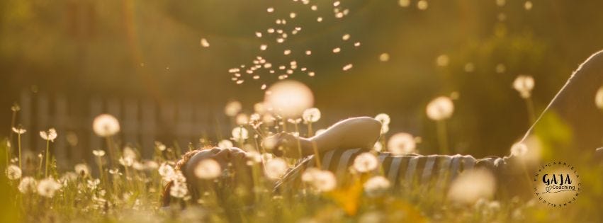 Schau dir dieses erstaunliche Video an!