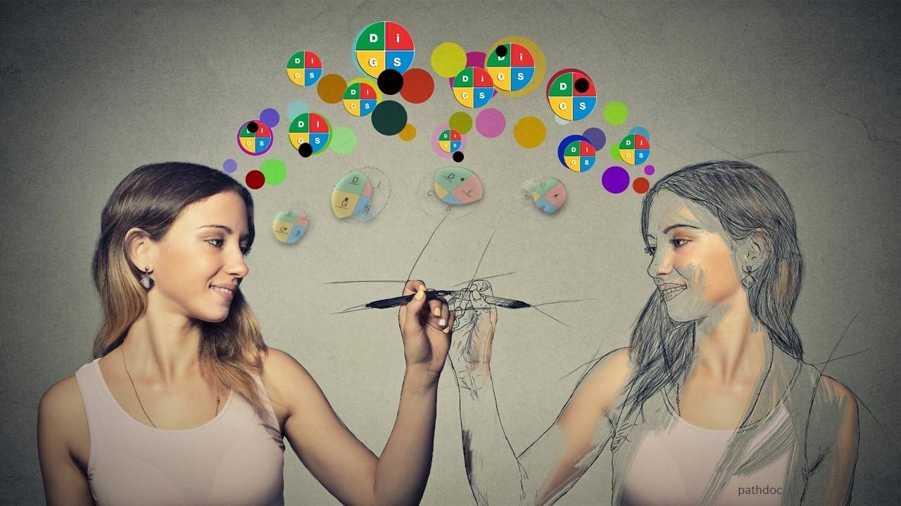 Wiley DiSC Mastery Basic Training 