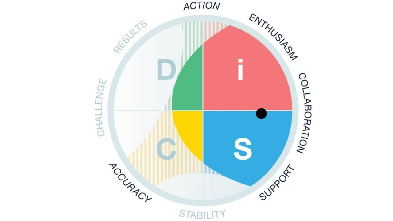 DiSC model