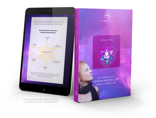 Elke Brenner - Dein Soul Plan™Report: Verbinde dich mit deinem Potenzial und deiner Bestimmung