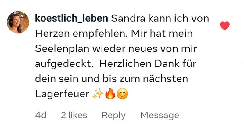 Soul Plan Report Feedback Sandra Hirsch