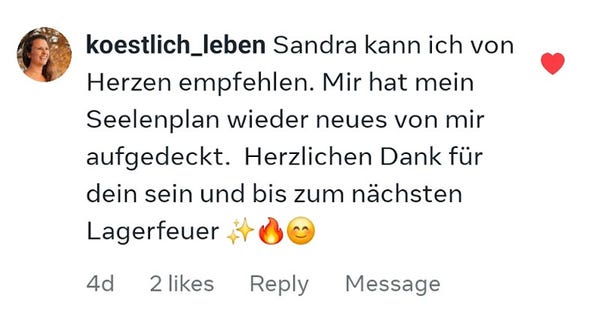 Soul Plan Report Feedback Sandra Hirsch