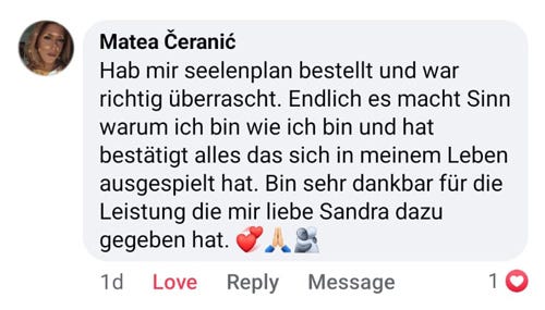 Soul Plan Report Feedback Sandra Hirsch