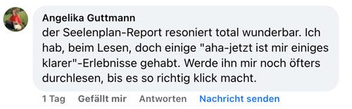 Soul Plan Report Feedback Sandra Hirsch