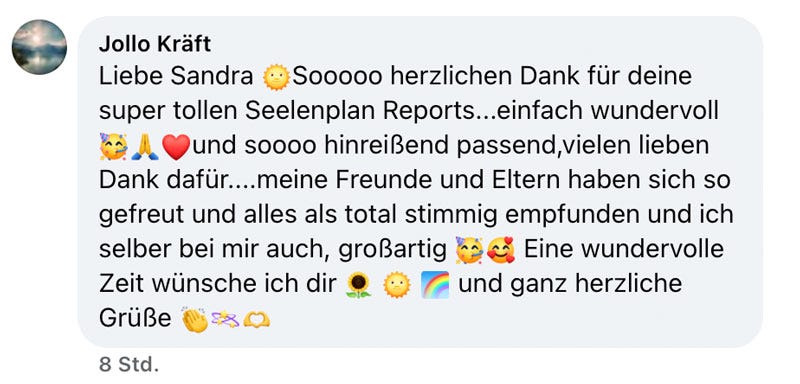 Soul Plan Report Feedback Sandra Hirsch