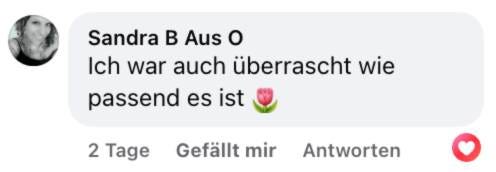 Soul Plan Report Feedback Sandra Hirsch