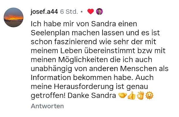 Soul Plan Report Feedback Sandra Hirsch