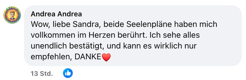 Soul Plan Report Feedback Sandra Hirsch