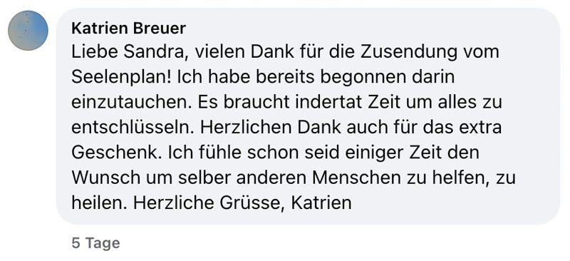 Soul Plan Report Feedback Sandra Hirsch