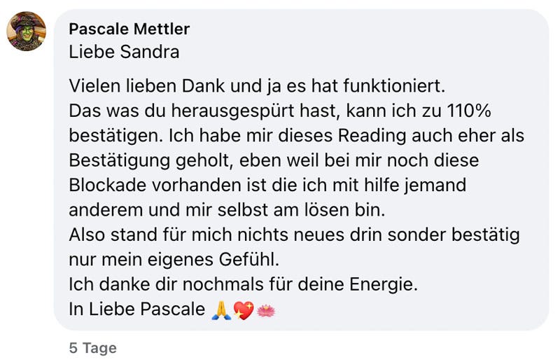 Soul Plan Report Feedback Sandra Hirsch