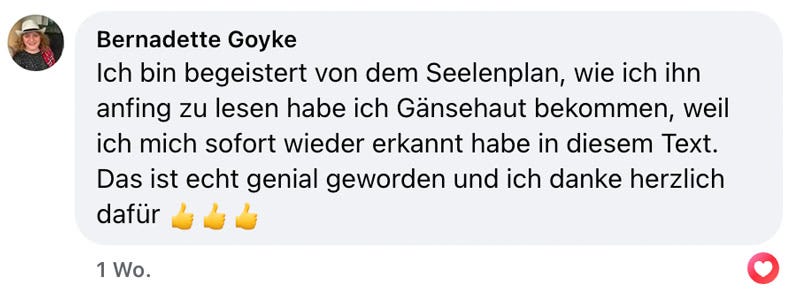 Soul Plan Report Feedback Sandra Hirsch