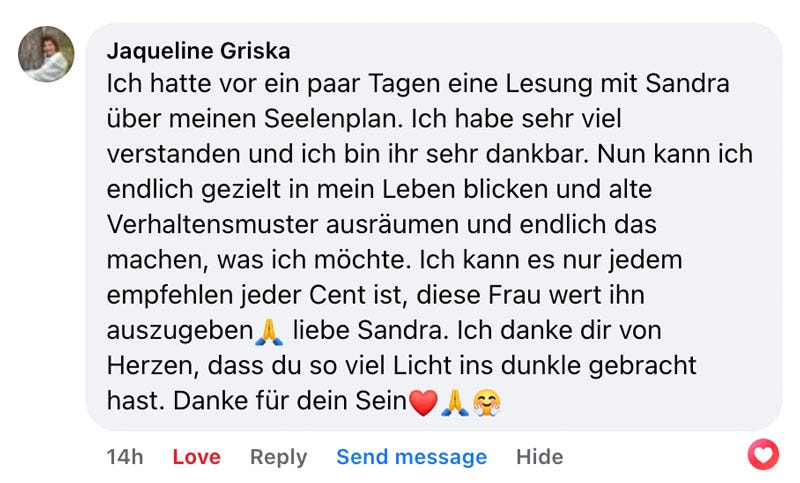 Soul Plan Report Feedback Sandra Hirsch