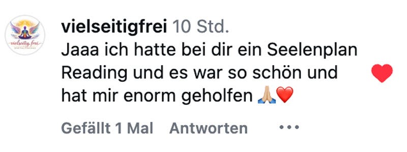 Soul Plan Report Feedback Sandra Hirsch