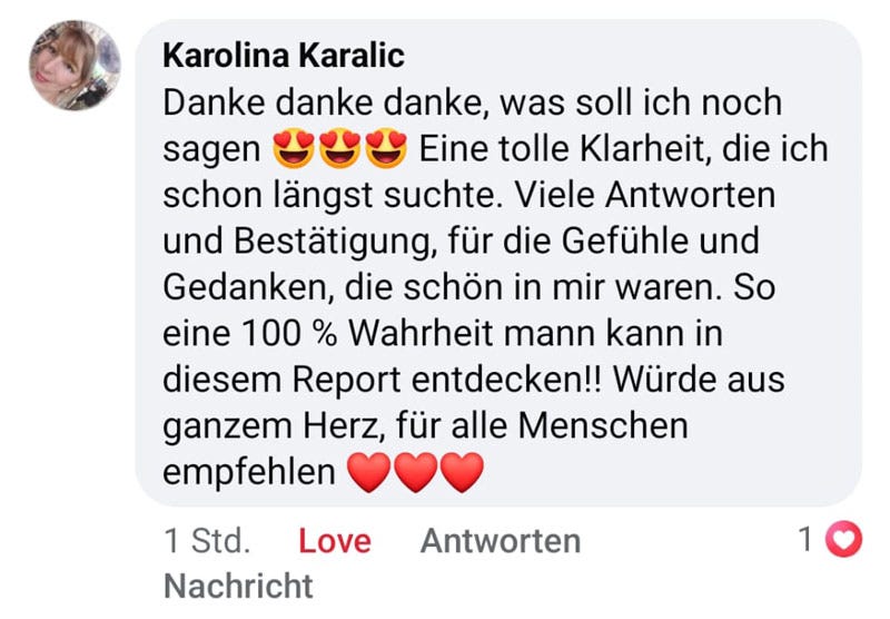 Soul Plan Report Feedback Sandra Hirsch