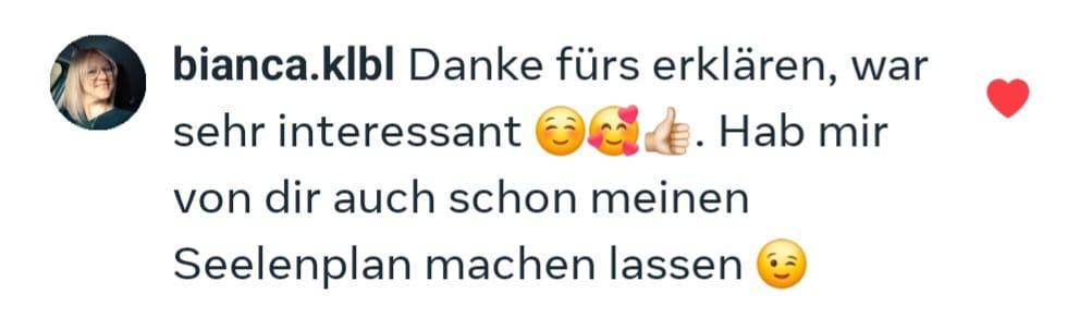 Soul Plan Report Feedback Sandra Hirsch