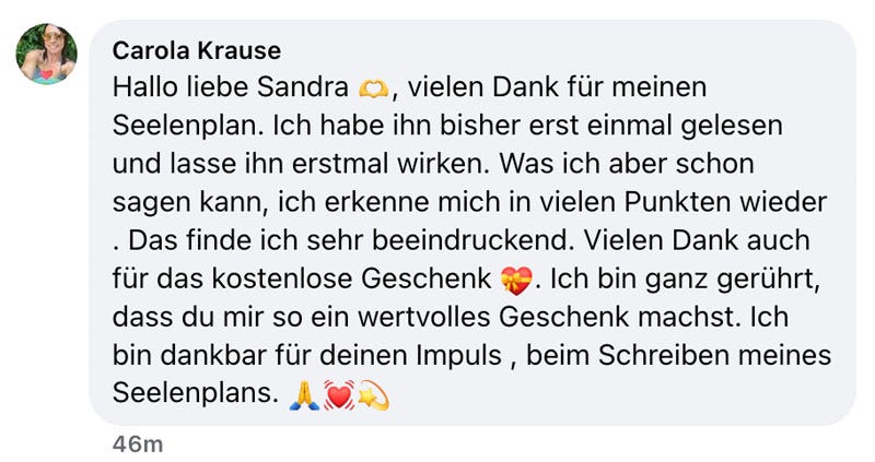 Soul Plan Report Feedback Sandra Hirsch