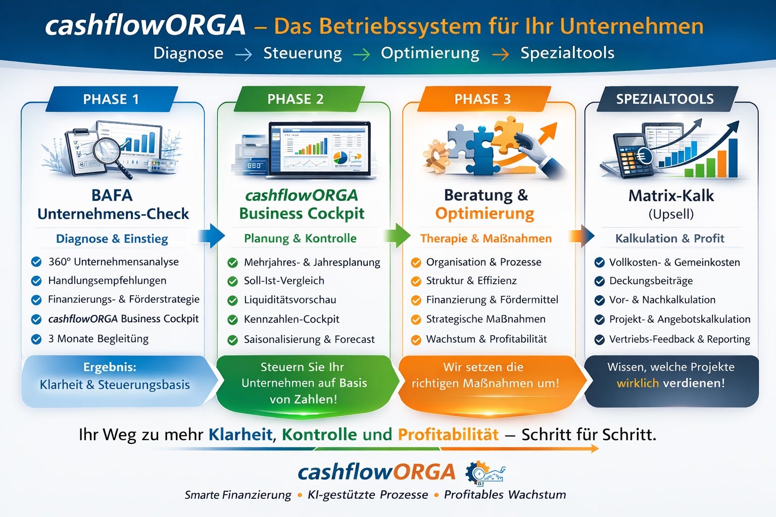 cashflowORGA System