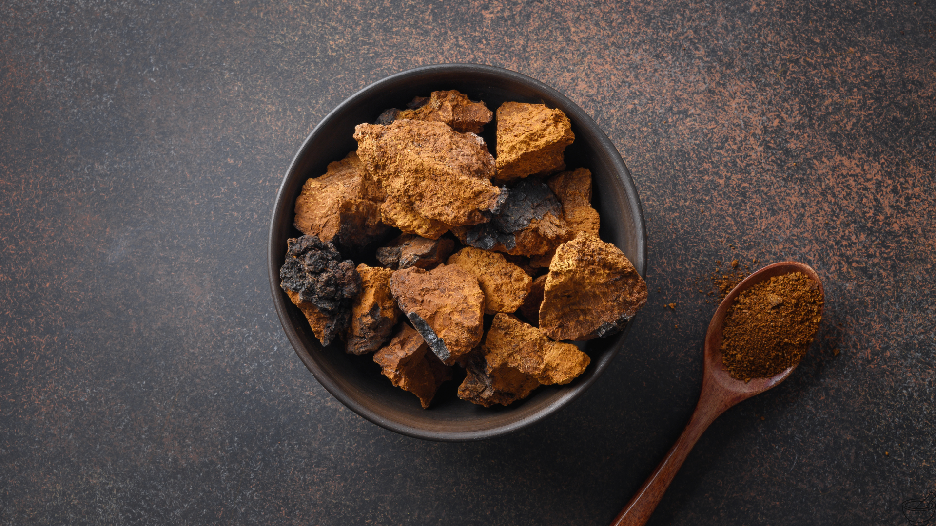 Chaga Vitalpilz