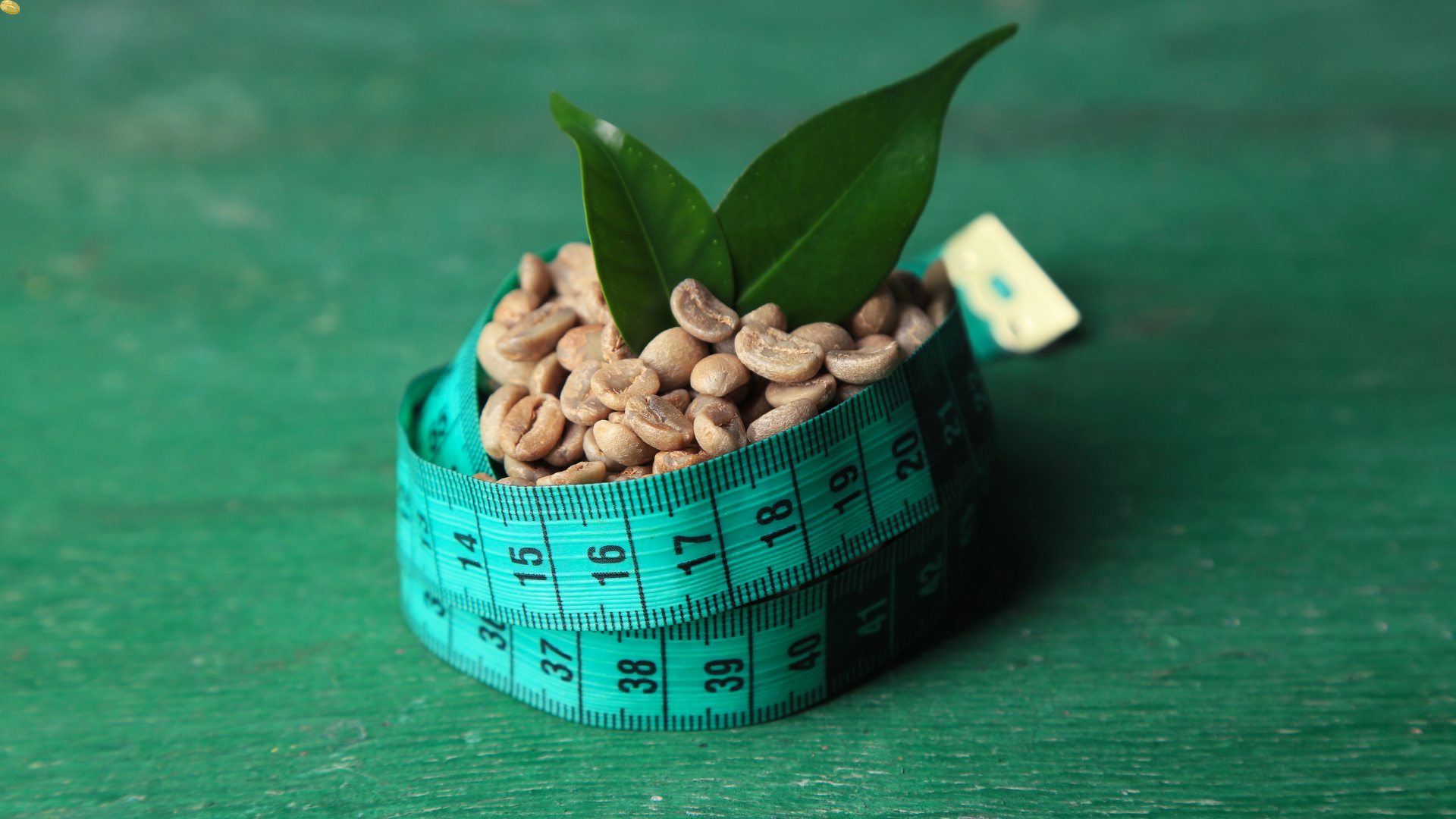 Green Coffee Extrakt