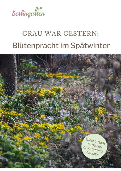 Frühling im Winter - berlingarten