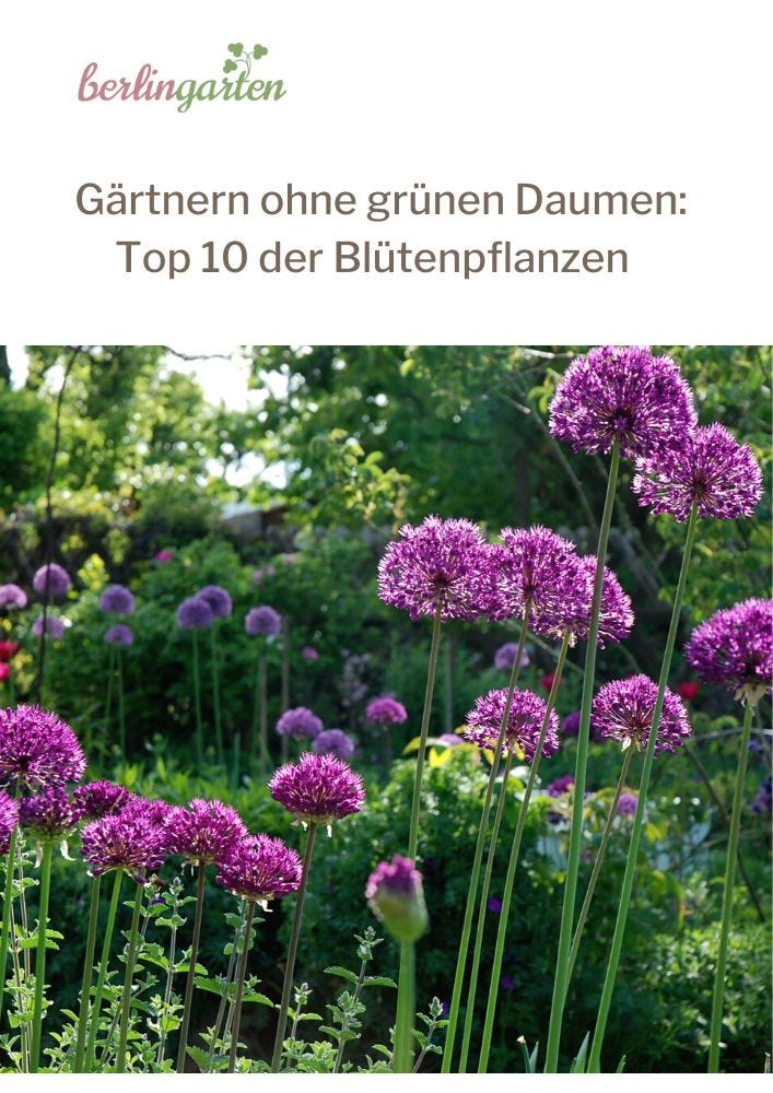 berlingarten - Glück auf grün