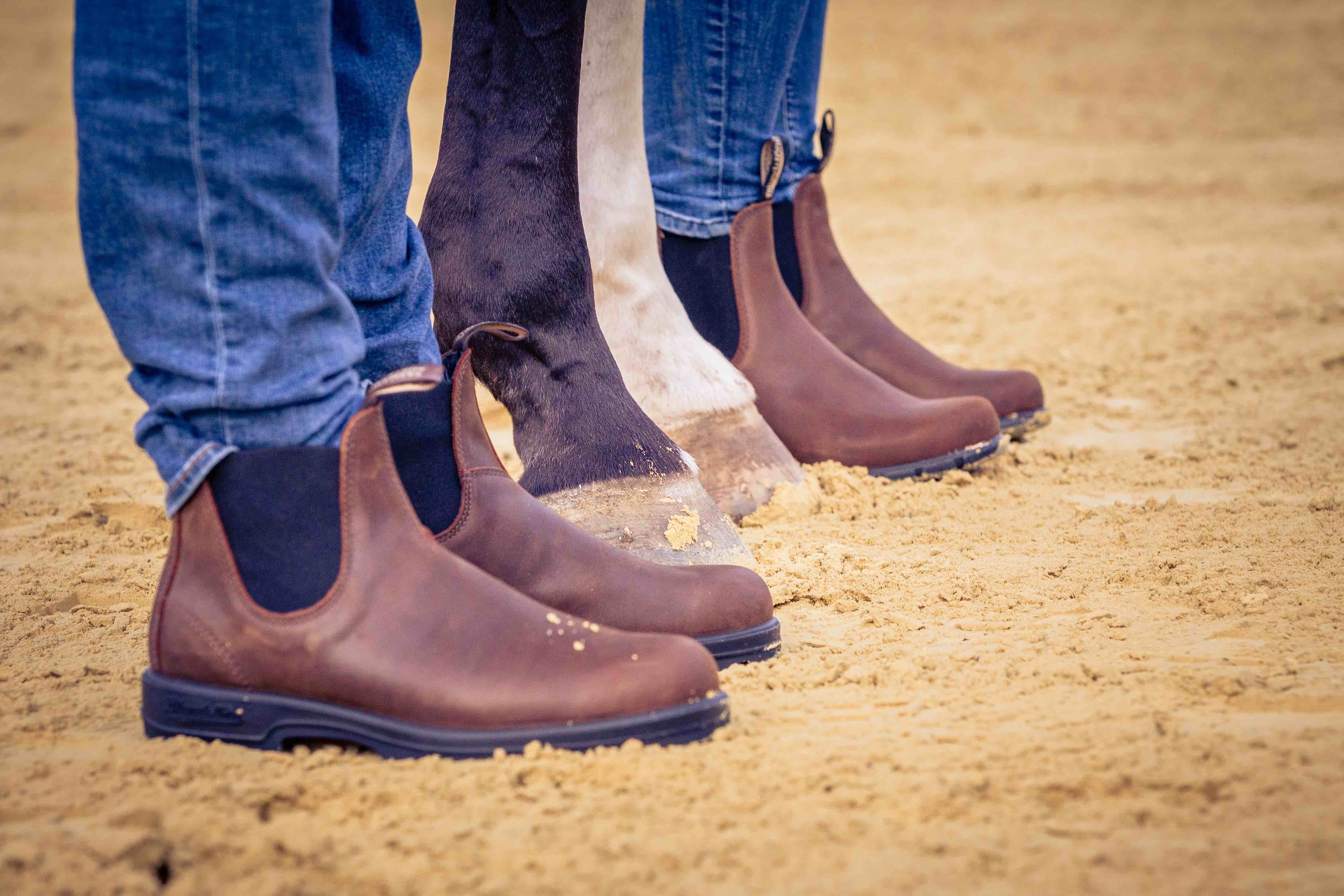 Teaser Psychologie für Reiter