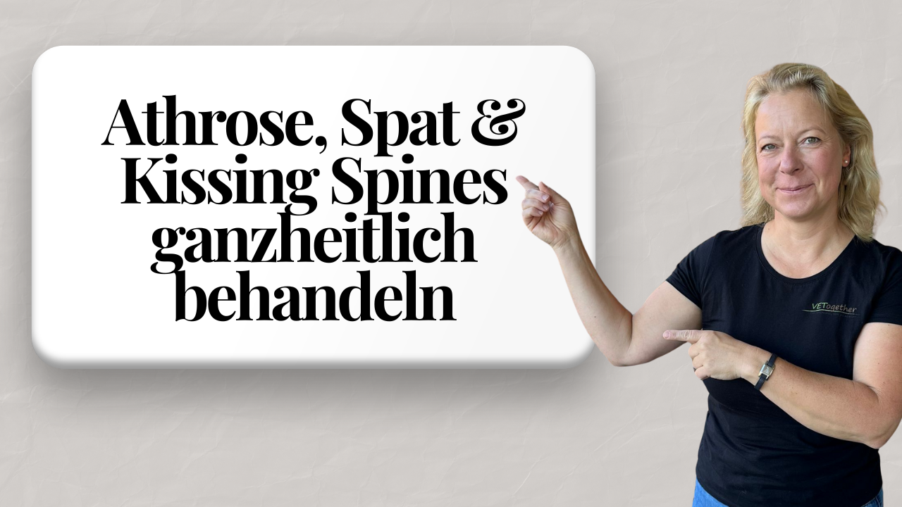 Schau dir dieses erstaunliche Video an!