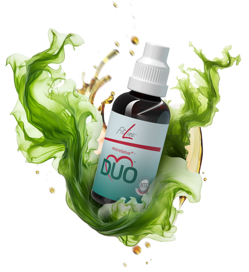 Schau dir dieses erstaunliche Video an!