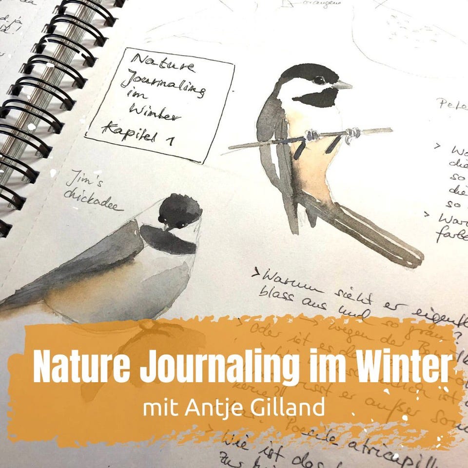 Schau dir dieses erstaunliche Video an!