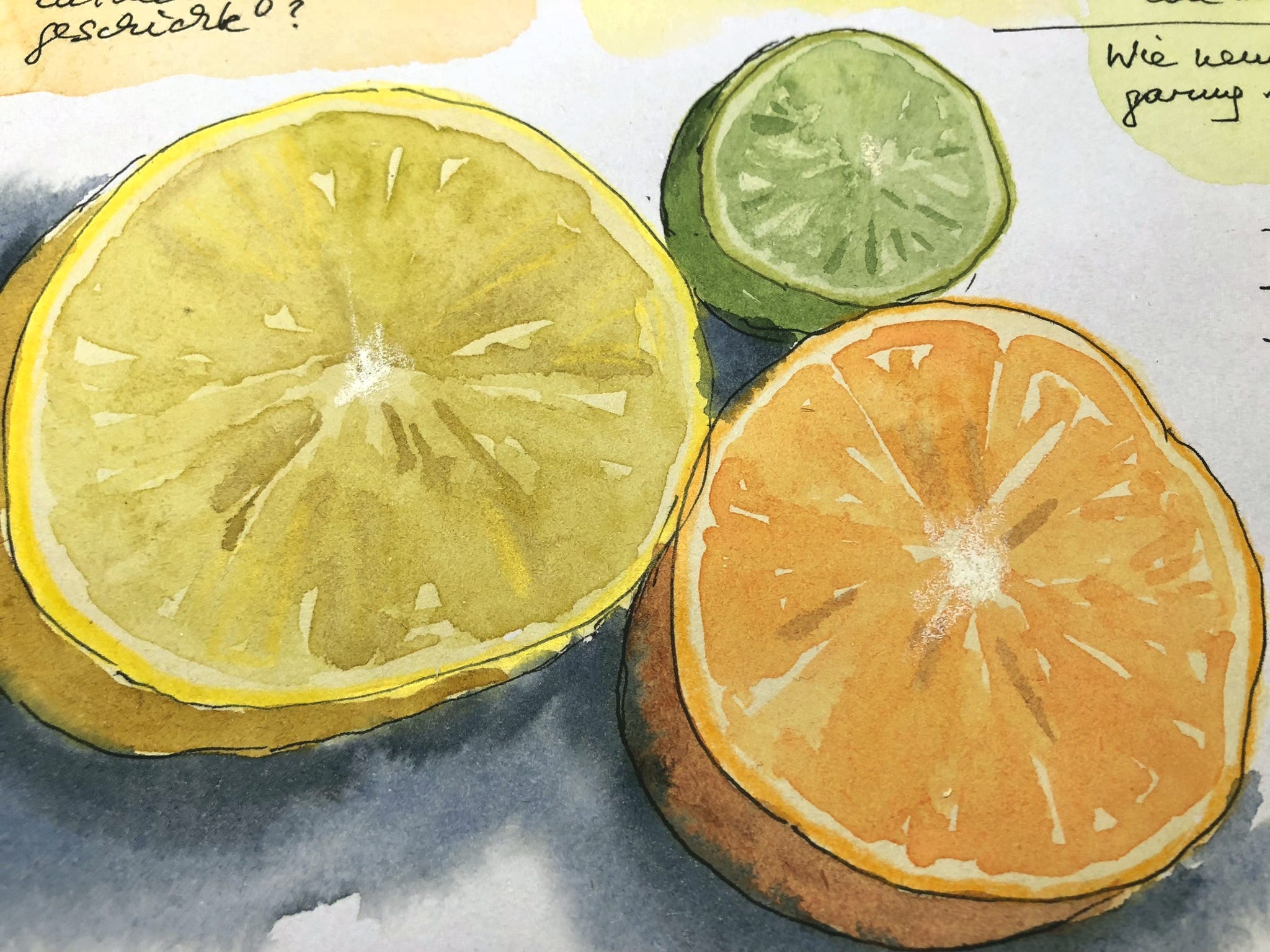 Nature Journaling zu Hause mit Zitrusfrüchten