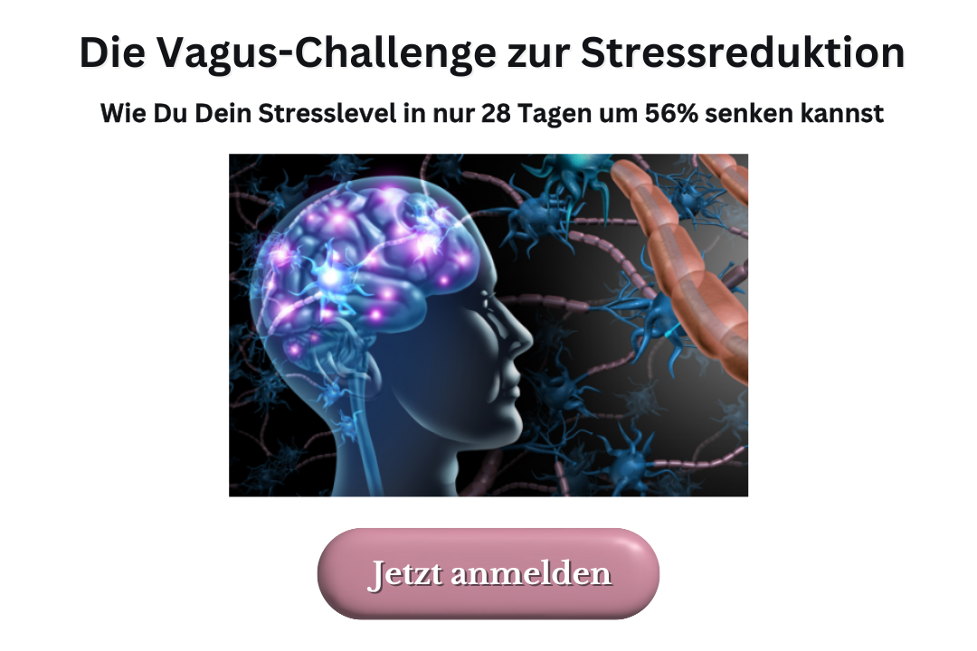 Anmeldung 28 Tage Vagus-Challenge