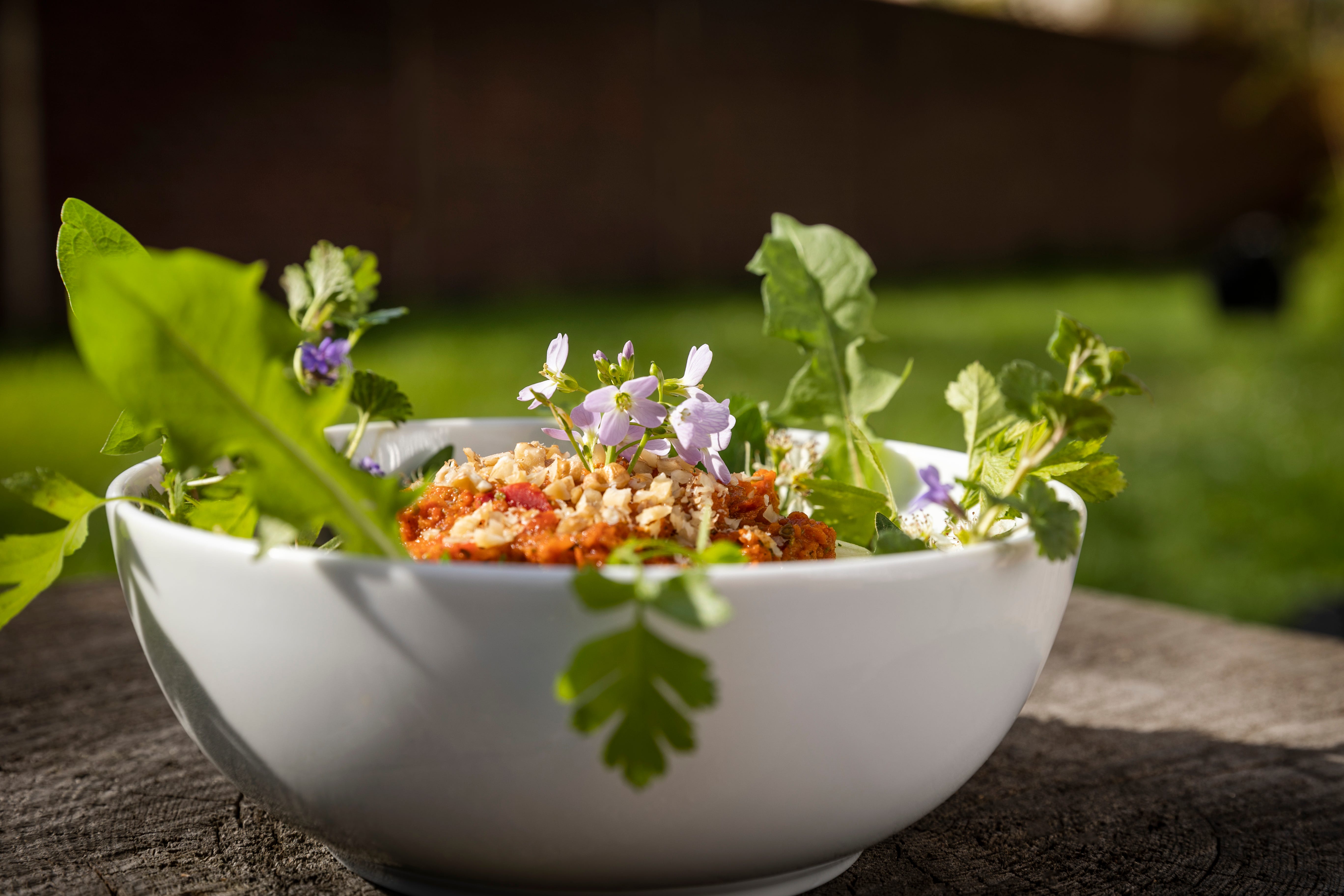 Anmeldung 28 Tage Vagus-Challenge