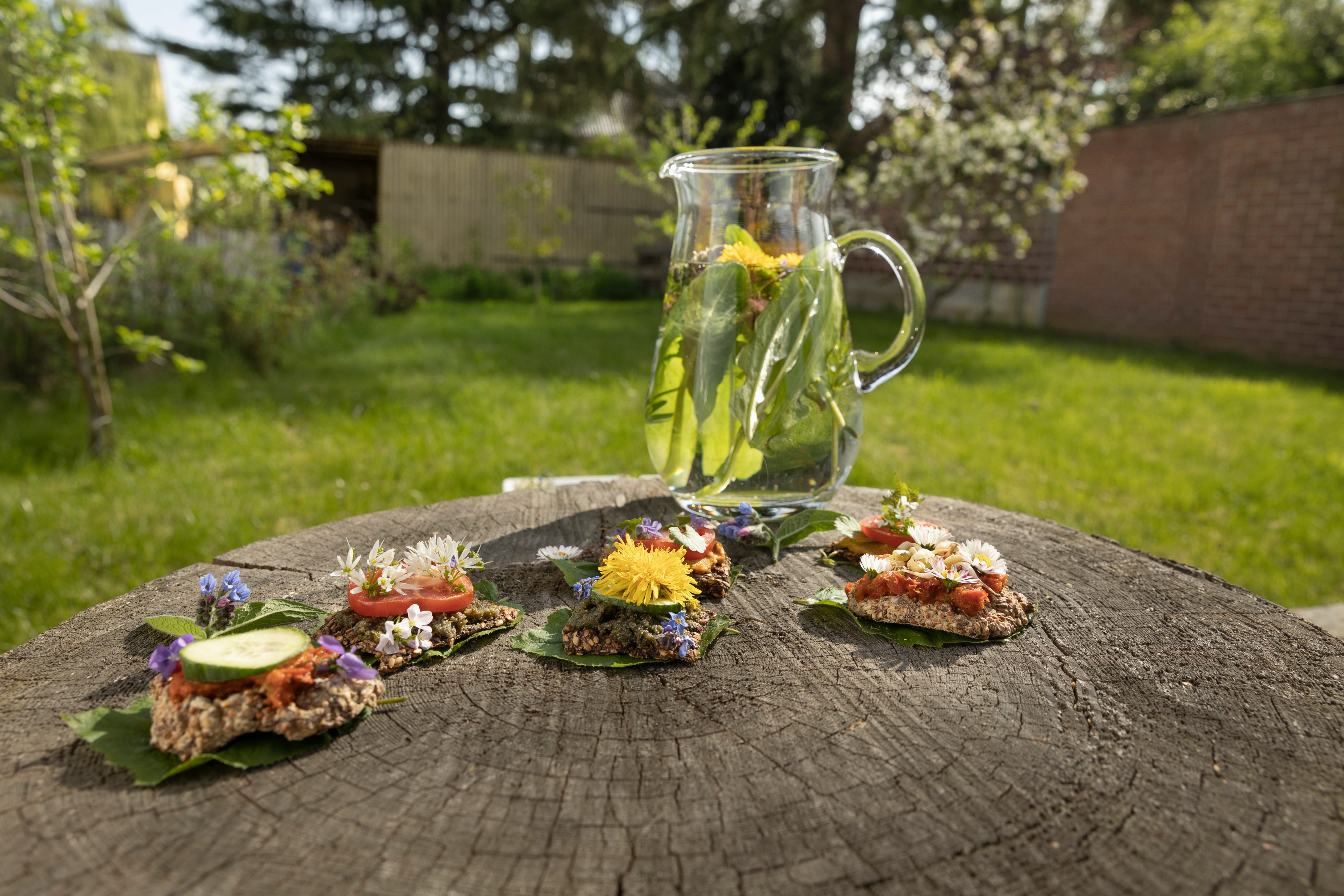 Anmeldung 28 Tage Vagus-Challenge