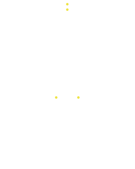 Ganzheitliches Face Yoga von Birte Brandes