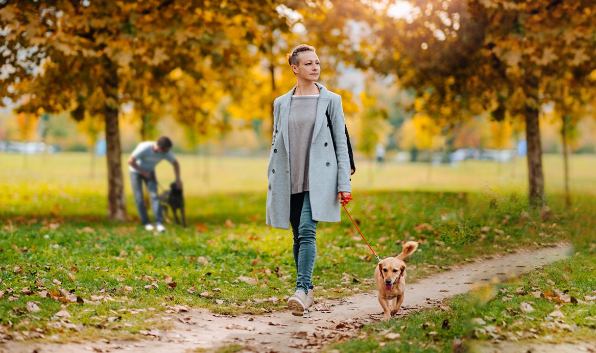 Entspannte Hundebegegnungen