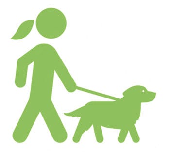 Entspannter Hundespaziergang