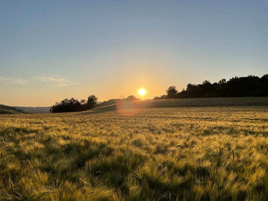 Entspannung in der Natur
