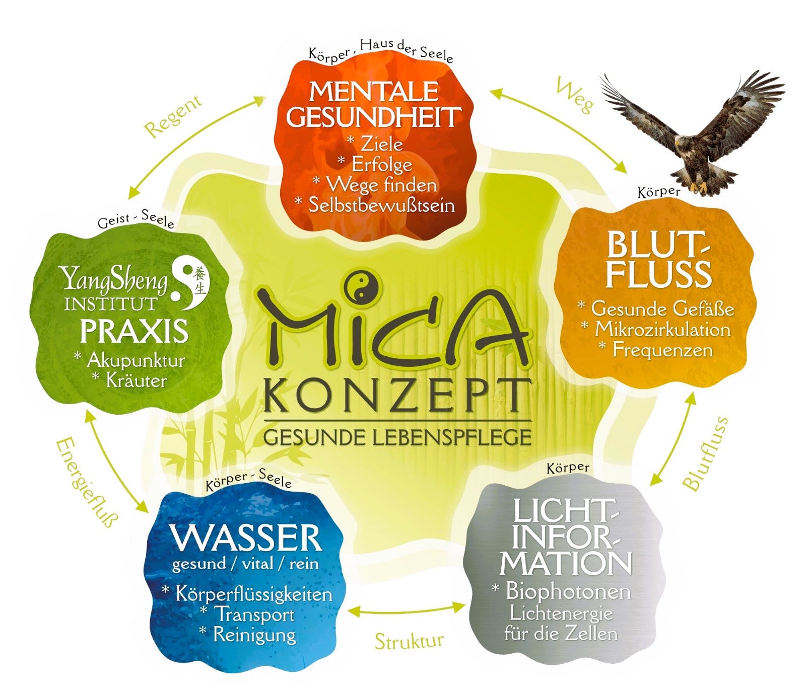 Naturheilpraxis Michael Gehler, Yangsheng Institut, Heilpraktiker Michael Gehler, gesundes Konzept, yang sheng,, chinesische Medizin, Tradition