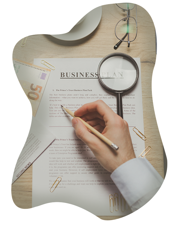 Succeed In Business & Entrepreneurship - analysist