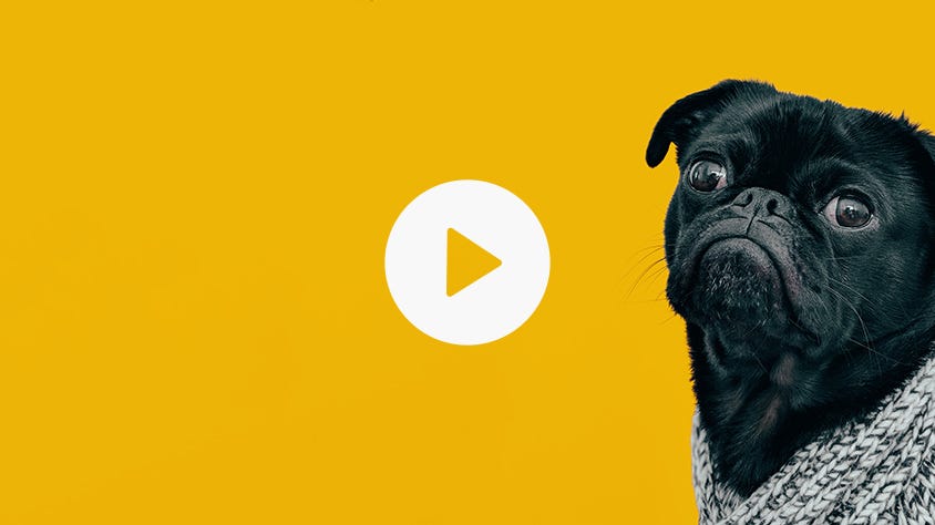 Schau dir dieses erstaunliche Video an!