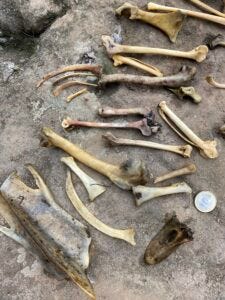 Justus, sein Cousin und die Omi gemeinsam im Urlaub in der Lüneburger Heide