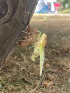 Justus, sein Cousin und die Omi gemeinsam im Urlaub in der Lüneburger Heide