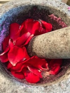 Justus, sein Cousin und die Omi gemeinsam im Urlaub in der Lüneburger Heide