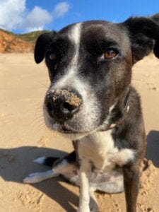 Justus, sein Cousin und die Omi gemeinsam im Urlaub in der Lüneburger Heide