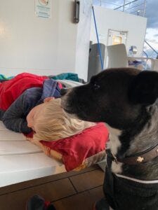 Justus, sein Cousin und die Omi gemeinsam im Urlaub in der Lüneburger Heide