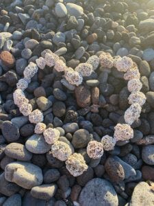 Justus, sein Cousin und die Omi gemeinsam im Urlaub in der Lüneburger Heide