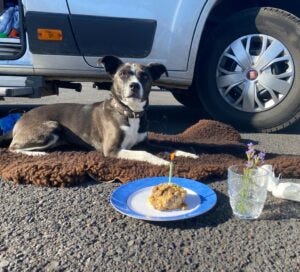 Justus, sein Cousin und die Omi gemeinsam im Urlaub in der Lüneburger Heide
